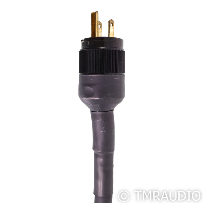 Running Springs Audio Mongoose Power Cable; 2.5m 20A AC Cord