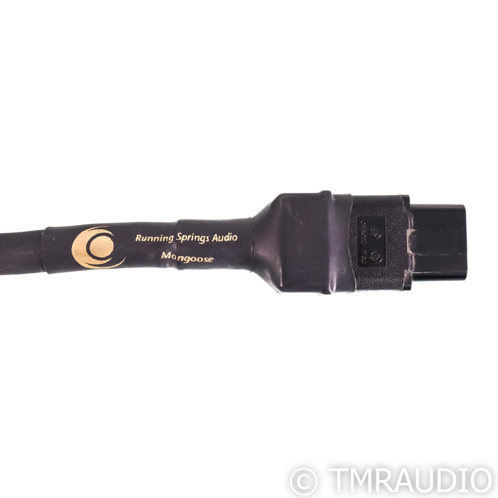 Running Springs Audio Mongoose Power Cable; 2.5m 20A AC Cord