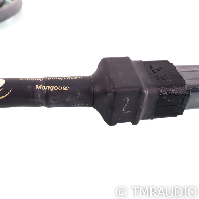 Running Springs Audio Mongoose Power Cable; 2.5m 20A AC Cord