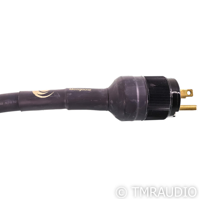 Running Springs Audio Mongoose Power Cable; 2.5m 20A AC Cord