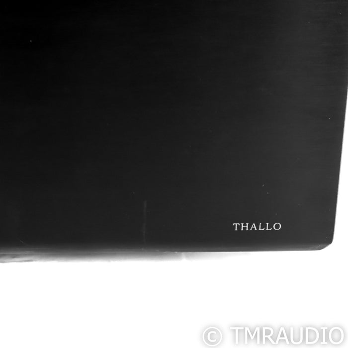 Denafrips THALLO Stereo Power Amplifier