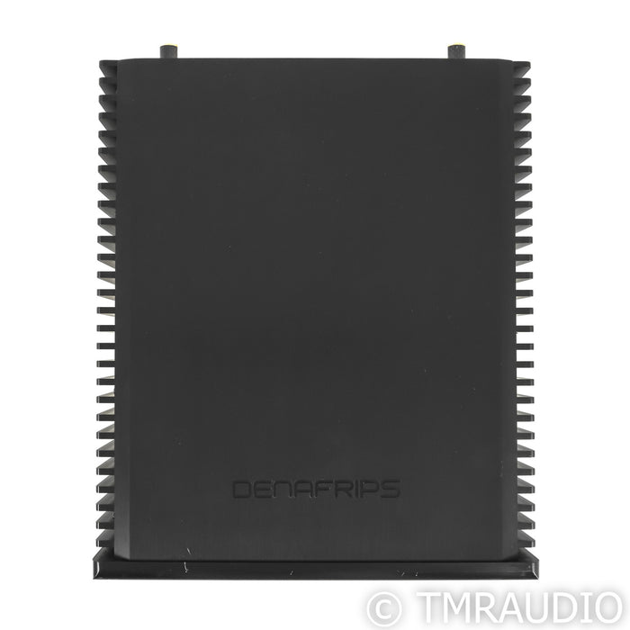 Denafrips THALLO Stereo Power Amplifier