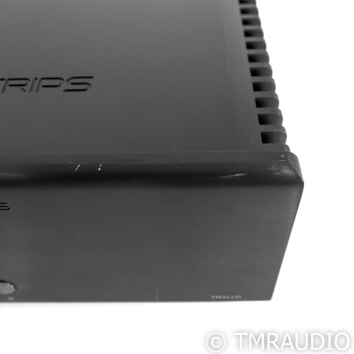 Denafrips THALLO Stereo Power Amplifier