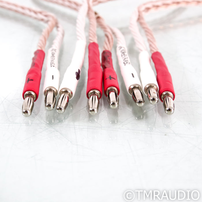 Kimber Kable 8TC Speaker Cables; 4ft Pair