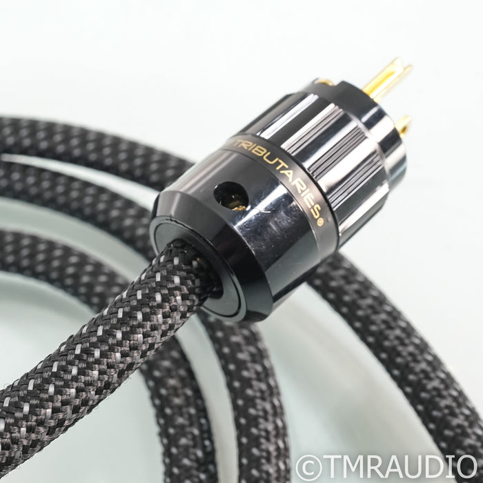 Tributaries Series 8 Power Cable; 8ft AC Cord