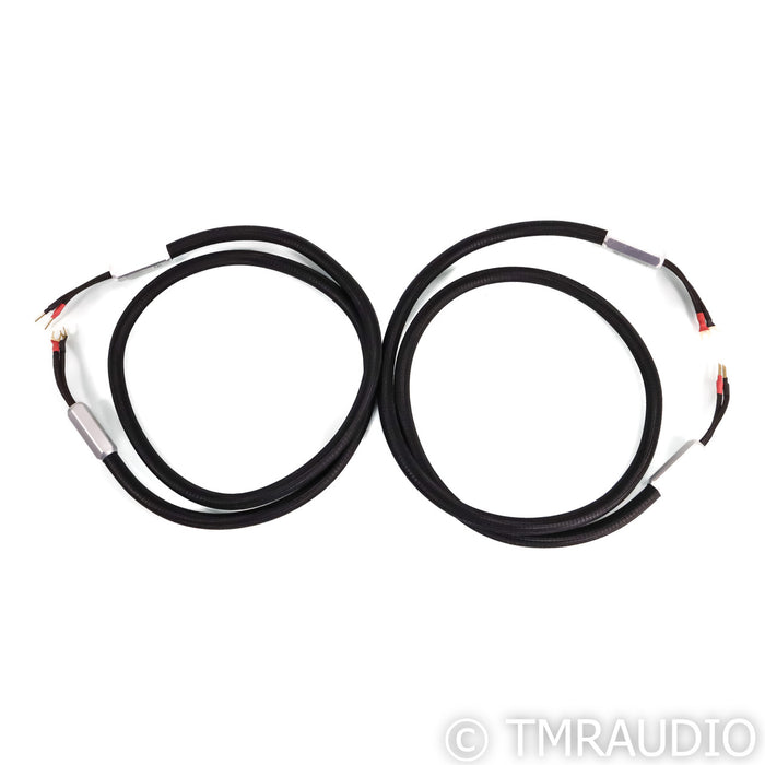 Townshend Audio F1 Fractal Speaker Cables; 2m Pair