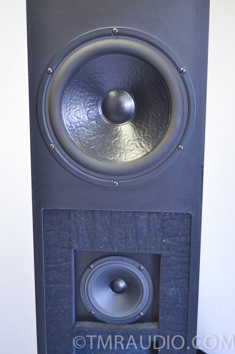 Dunlavy SC-IV Floorstanding Speakers