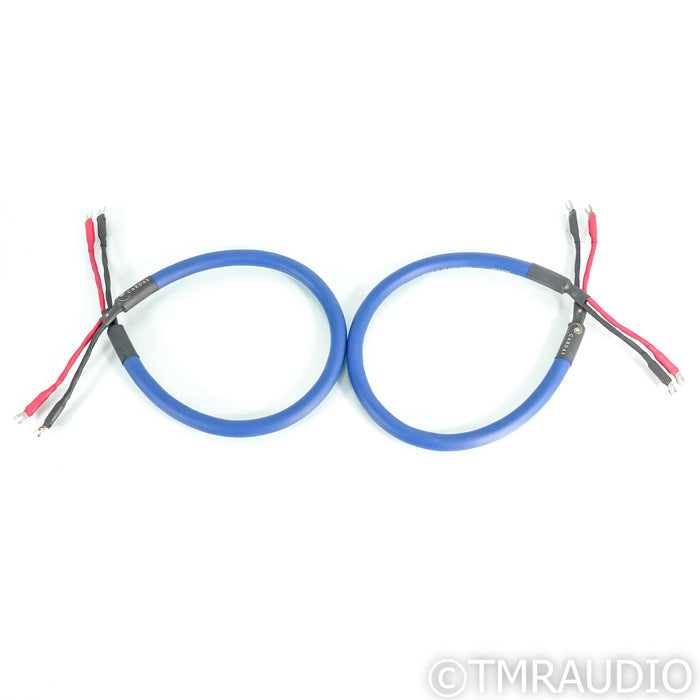 Cardas Audio Clear Sky X4 Speaker Cables; 1m Pair