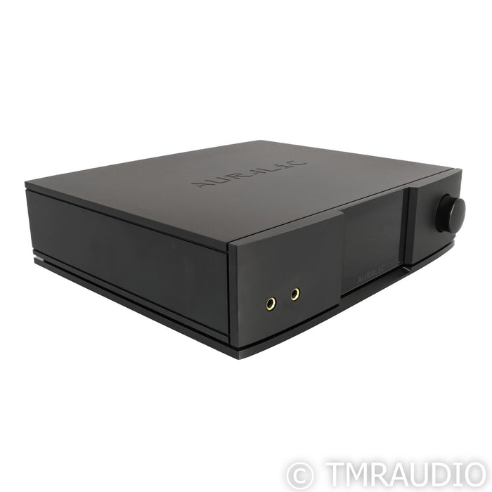 Auralic Vega G2.1 Streaming DAC; D/A Converter