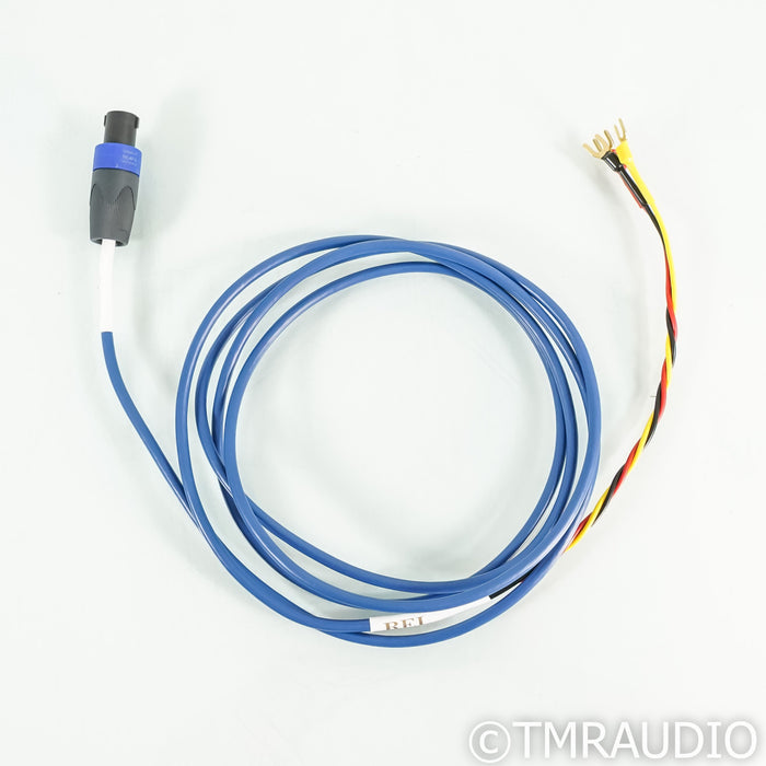REL Acoustics Bassline Blue Subwoofer Cable; 3m Interconnect