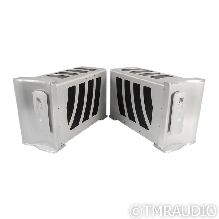 Theta Digital Enterprise Monoblock Power Amplifiers; Pair