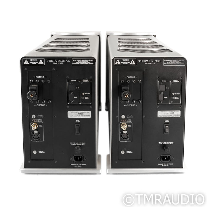 Theta Digital Enterprise Monoblock Power Amplifiers; Pair
