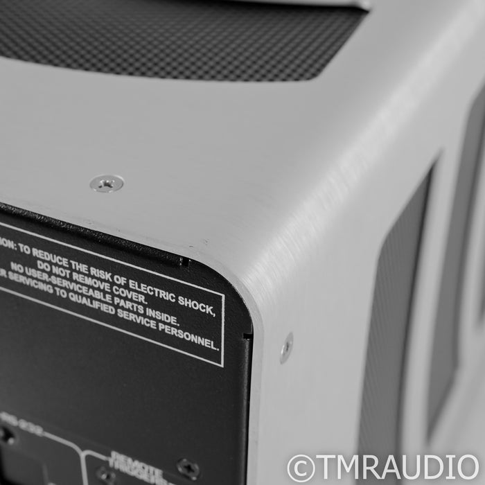 Theta Digital Enterprise Monoblock Power Amplifier; Single