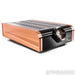 Dan D'Agostino Momentum S250 MxV Stereo Power Amplifier