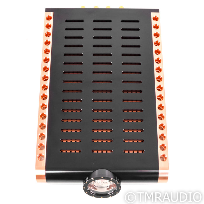 Dan D'Agostino Momentum S250 MxV Stereo Power Amplifier
