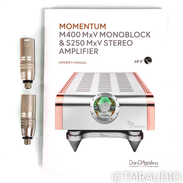 Dan D'Agostino Momentum S250 MxV Stereo Power Amplifier