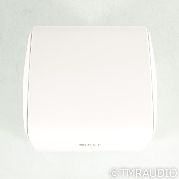KEF KC62 6.5" Powered Subwoofer; Mineral White