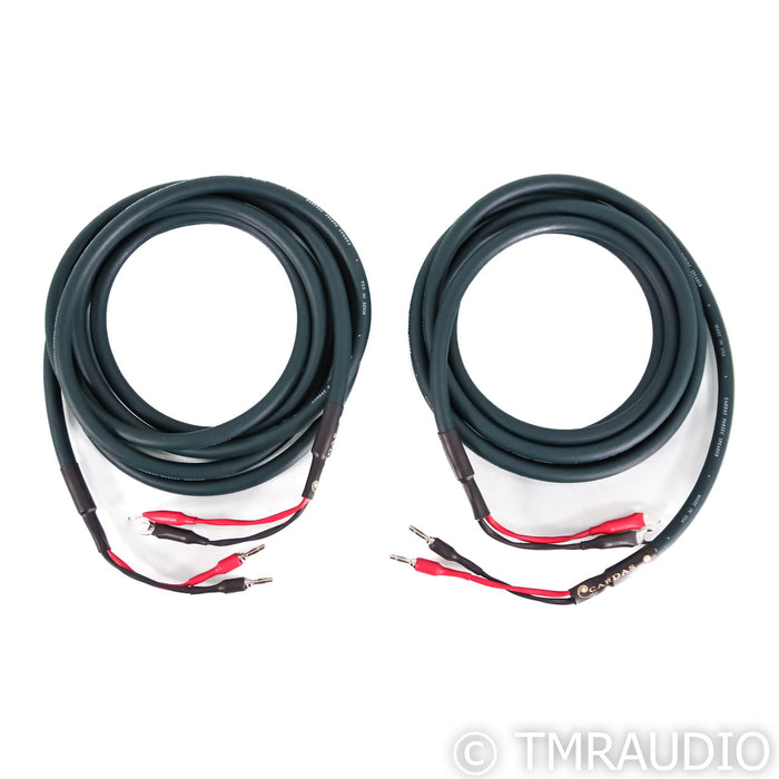 Cardas Parsec Speaker Cables; 4m Pair (Open Box)