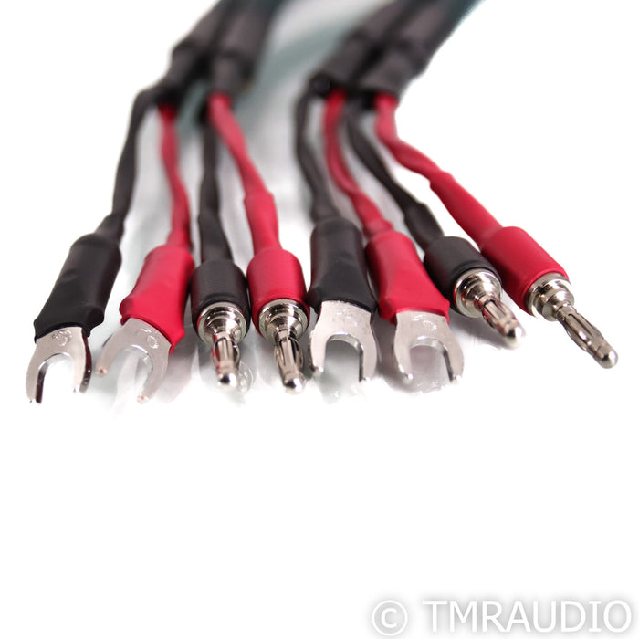 Cardas Parsec Speaker Cables; 4m Pair (Open Box)