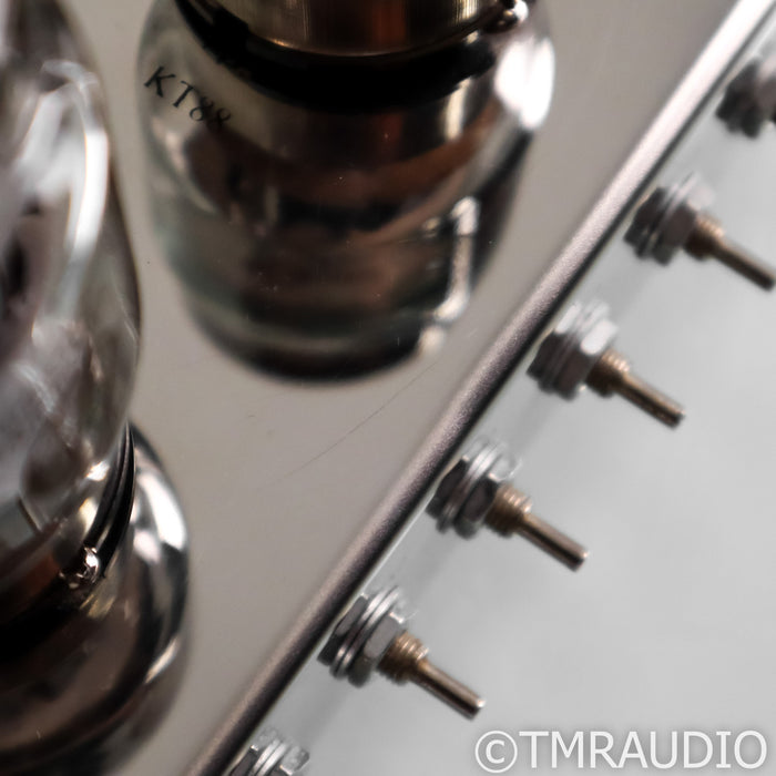 Antique Sound Lab Hurricane DT Tube Monoblock Power Amplifiers; Pair
