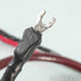 Cardas Golden Cross Speaker Cables; 2.5m Pair