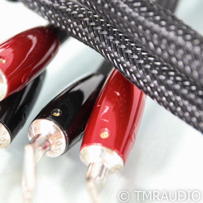 AudioQuest William Tell Bi-Wire COMBO Speaker Cables; 4ft Pair