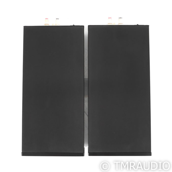 Red Dragon Audio M500 MKII Monoblock Power Amplifiers; Pair