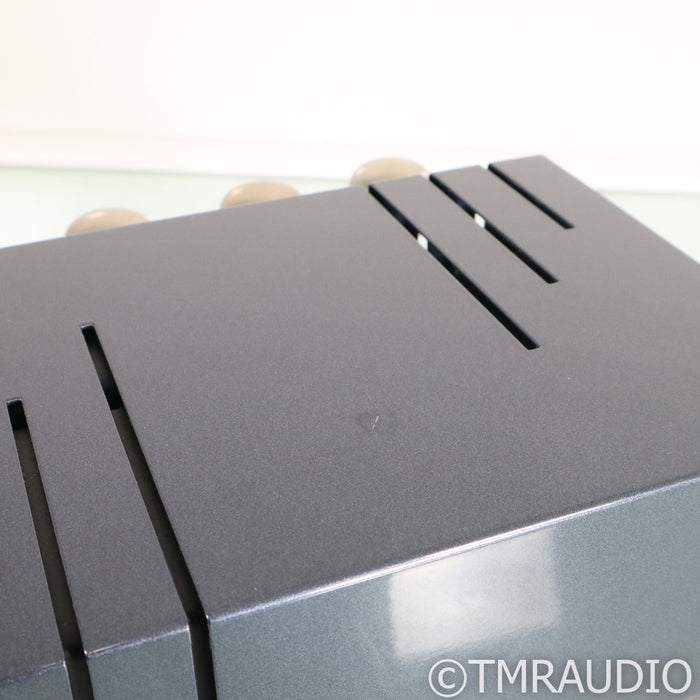 PrimaLuna EVO 100 Stereo Tube Power Amplifier