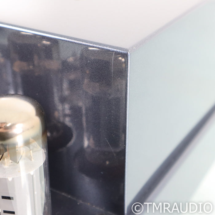 PrimaLuna EVO 100 Stereo Tube Power Amplifier
