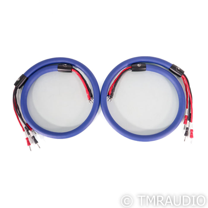 Cardas Clear Beyond Bi-Wire Speaker Cables; 0.5m Pair