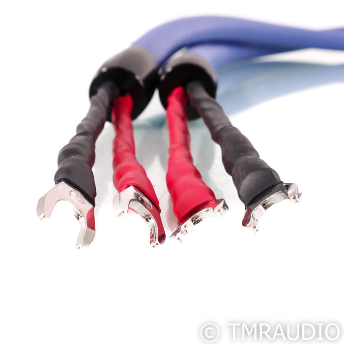 Cardas Clear Beyond Bi-Wire Speaker Cables; 0.5m Pair