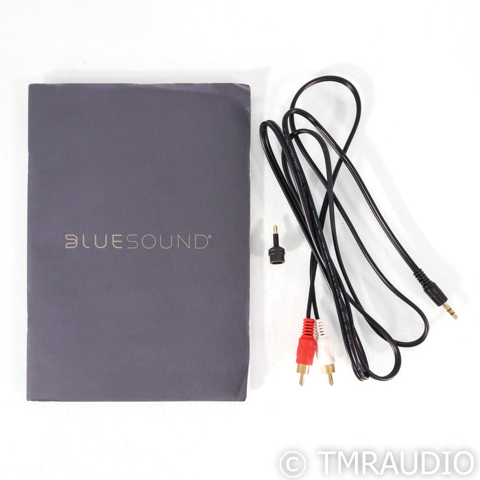 Bluesound Node N130 Wireless Network Streamer