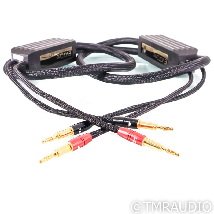 MIT Evo One Speaker Cable; 2.5m Single