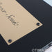 PS Audio Power Sonic Isolation Transformer
