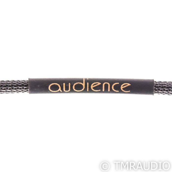 Audience Au24 SE RCA Cables; 1m Pair Interconnects
