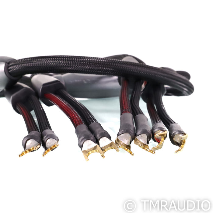 Transparent Audio Super Speaker Cable Gen 5; 2.5m Pair