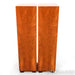 Avalon Acoustics Arcus Floorstanding Speakers; Pair