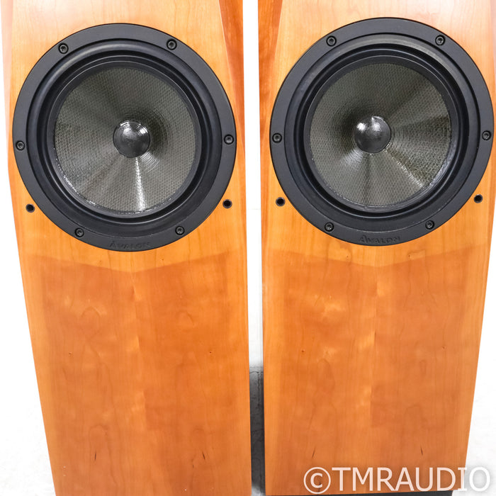 Avalon Acoustics Arcus Floorstanding Speakers; Pair
