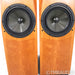 Avalon Acoustics Arcus Floorstanding Speakers; Pair