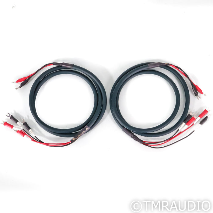 Cardas Audio Parsec Bi-Wire Speaker Cables; 2m Pair