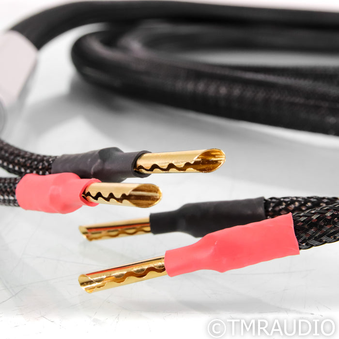 Townshend Audio F1 Fractal Speaker Cables; 3m Pair