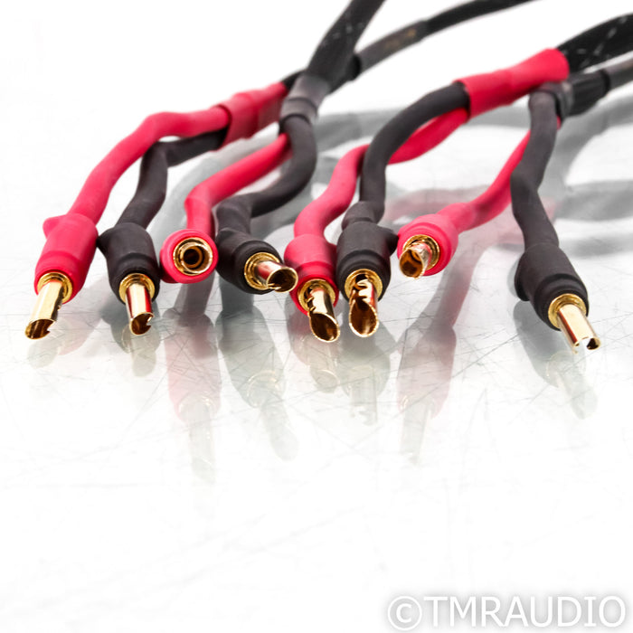 Morrow Audio SP-4 Speaker Cables; 3m Pair