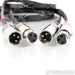 Morrow Audio Elite Reference XLR Cables; 2m Pair Interconnects