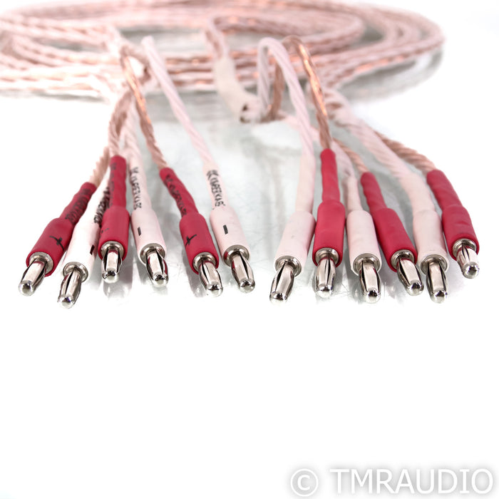 Kimber Kable 8TC Bi-Wire Speaker Cables; 2.5m Pair