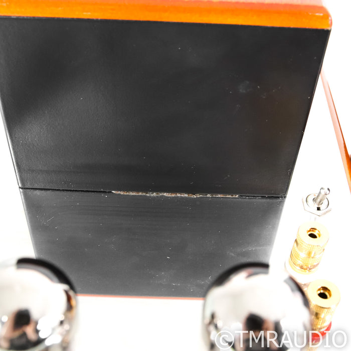Audes NS 1 Monoblock Tube Power Amplifier; Pair