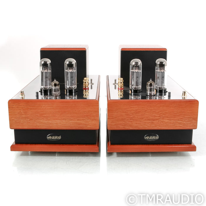 Audes NS 1 Monoblock Tube Power Amplifier; Pair
