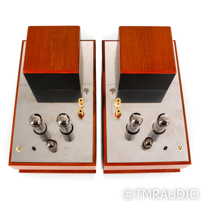 Audes NS 1 Monoblock Tube Power Amplifier; Pair