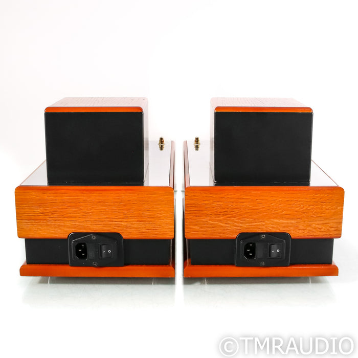 Audes NS 1 Monoblock Tube Power Amplifier; Pair