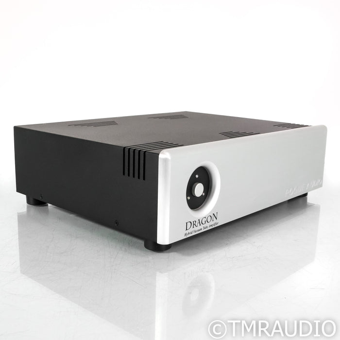 Rogue Audio DragoN Stereo Tube Hybrid Power Amplifier