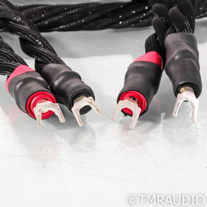 Synergistic Research Galileo SX Speaker Cables; 10ft Pair